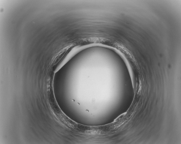 X0000087550356200705041333