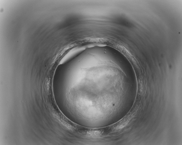 X0000087550357200705041334