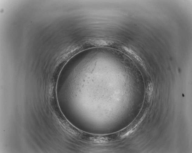 X0000087550359200705041334