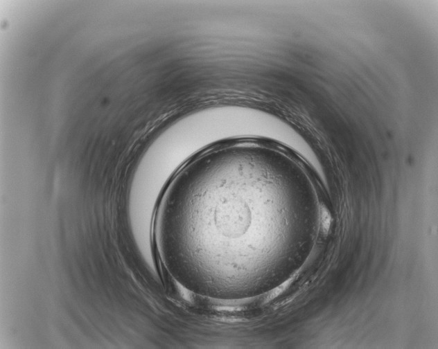 X0000087550360200705041334