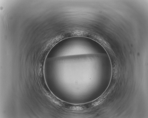 X0000087550361200705041334