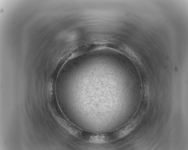 X0000087550362200705041334