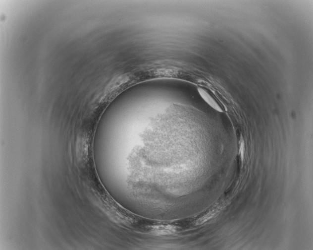 X0000087550363200705041334