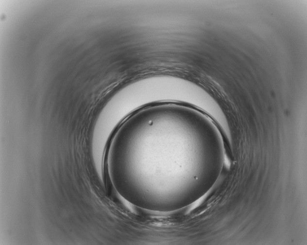 X0000087550364200705041334