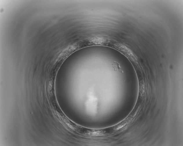 X0000087550365200705041334