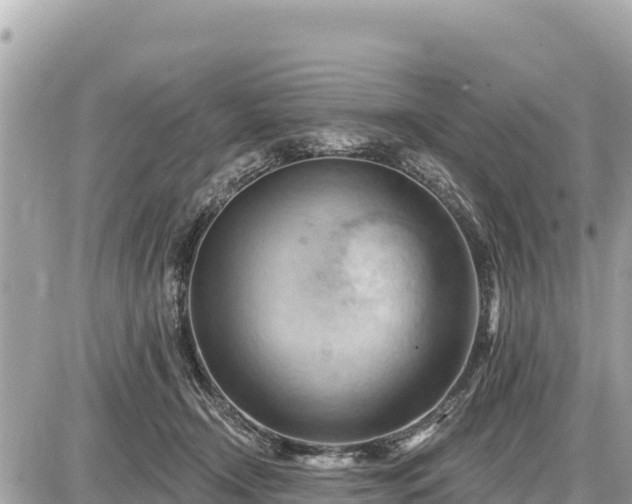 X0000087550366200705041334