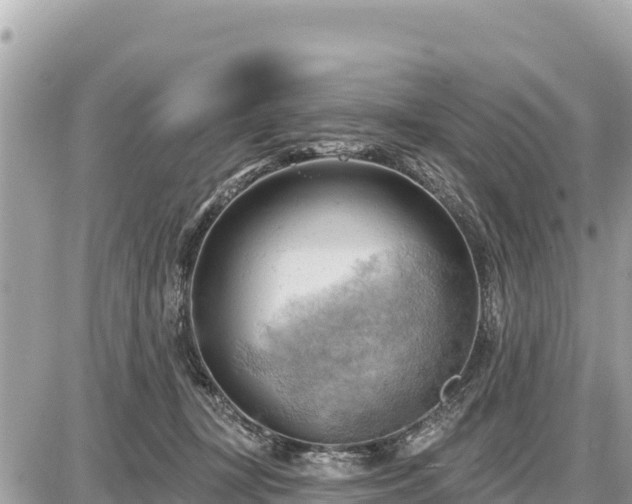 X0000087550367200705041334