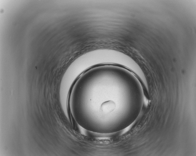 X0000087550368200705041334