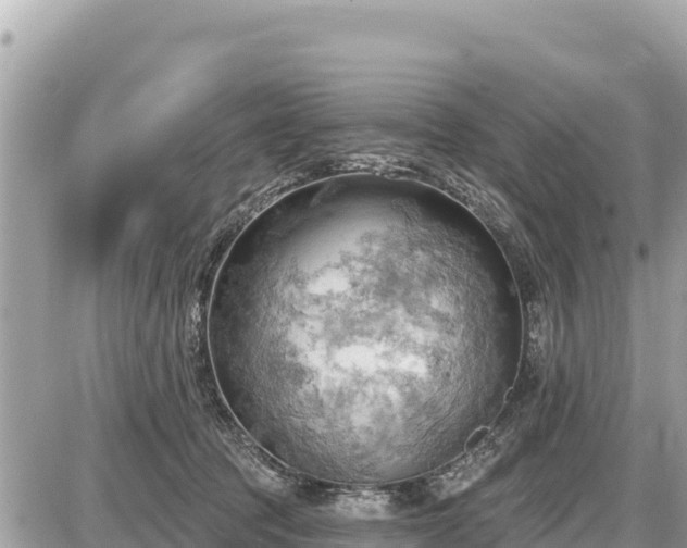 X0000087550369200705041334