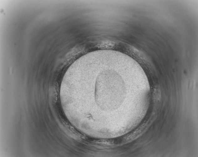 X0000087550370200705041334