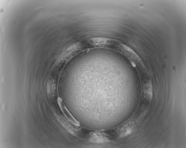 X0000087550372200705041334