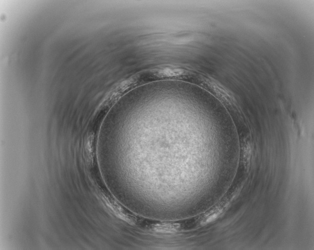 X0000087550373200705041334