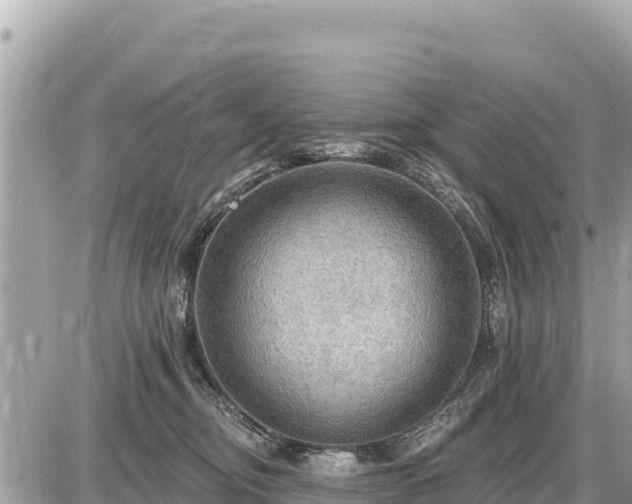 X0000087550374200705041334