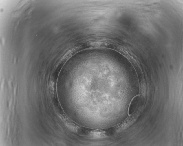 X0000087550375200705041334