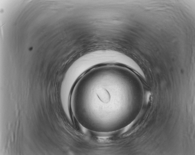 X0000087550376200705041334