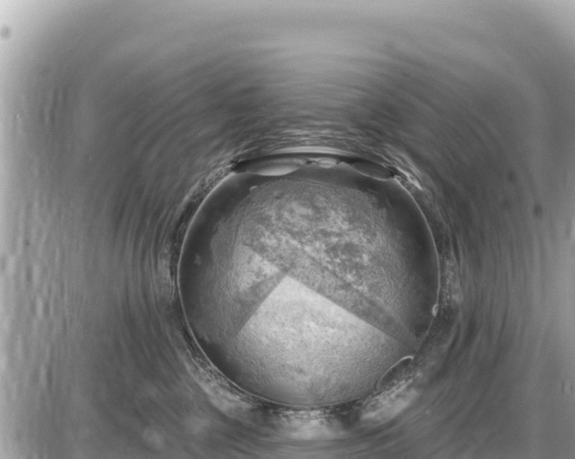 X0000087550377200705041334