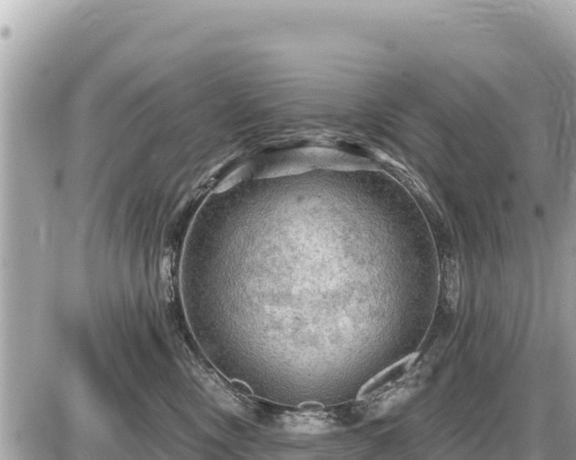 X0000087550378200705041334