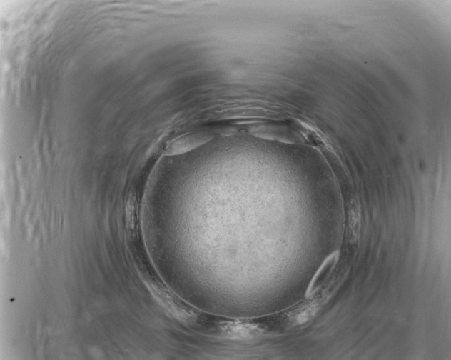 X0000087550379200705041334