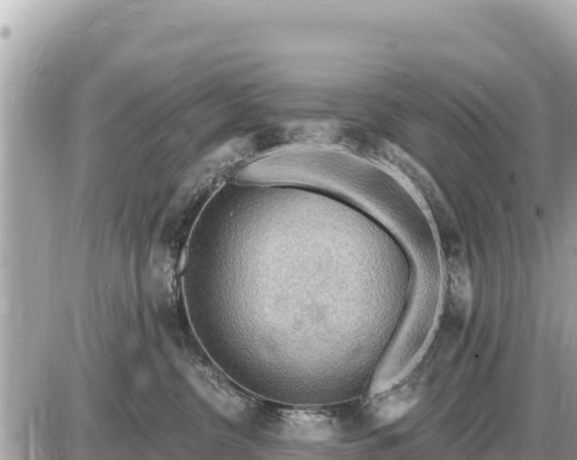 X0000087550380200705041334