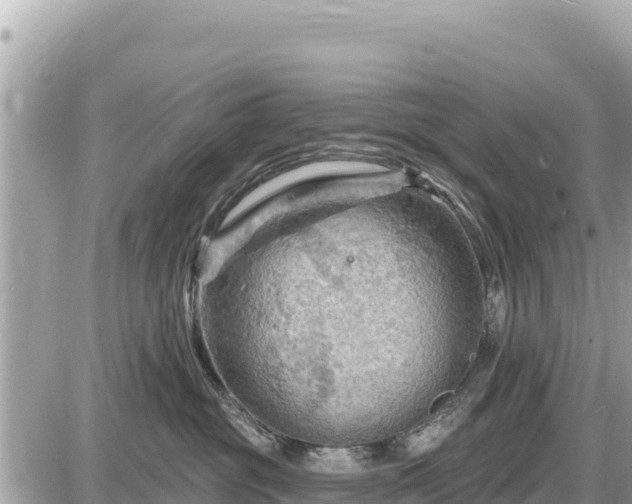 X0000087550381200705041334