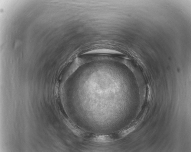 X0000087550382200705041334