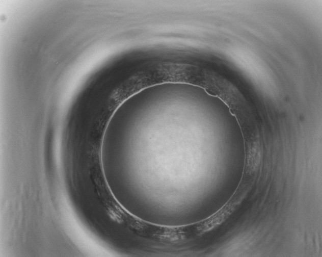 X0000087550383200705041334