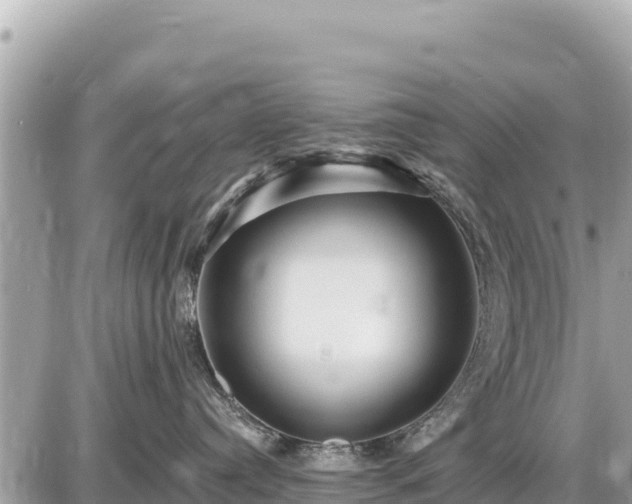 X0000087550384200705041334