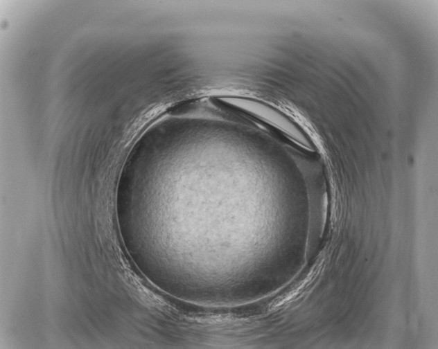 X0000087550385200705041333