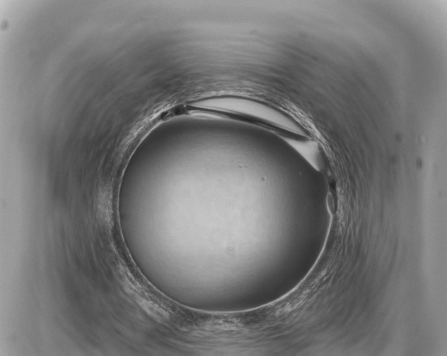 X0000087550386200705041333