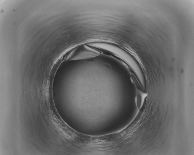 X0000087550387200705041333