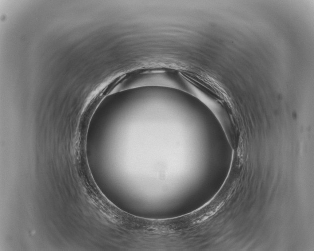 X0000087550388200705041333