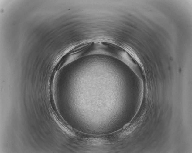 X0000087550389200705041333