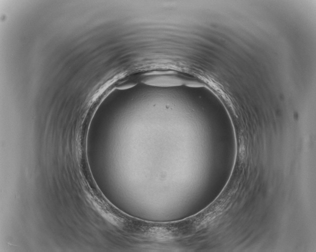 X0000087550390200705041333