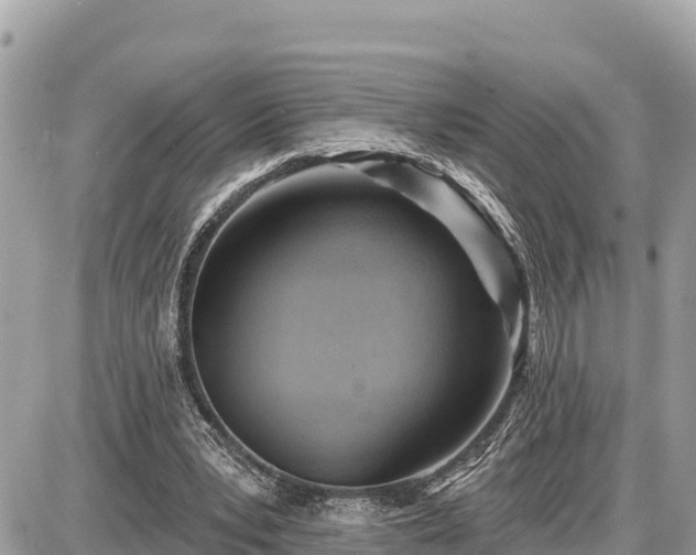 X0000087550391200705041333