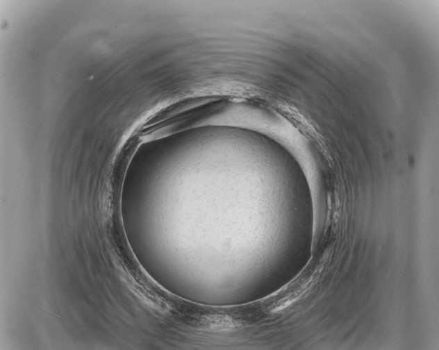 X0000087550392200705041333