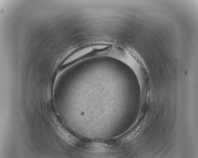 X0000087550393200705041333