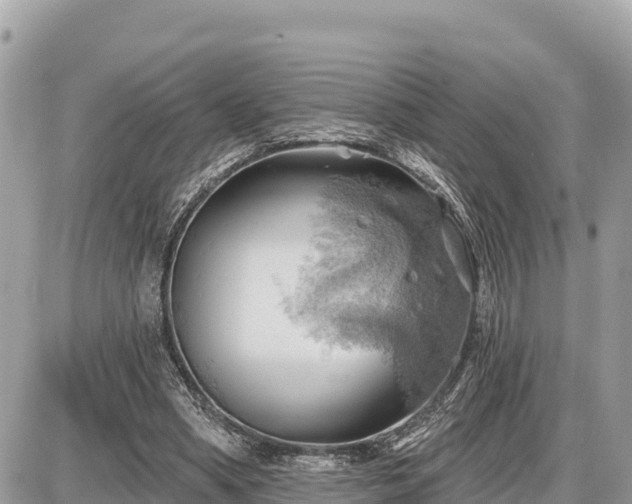 X0000087550394200705041333