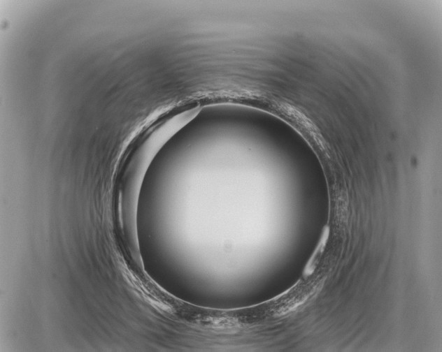 X0000087550395200705041333