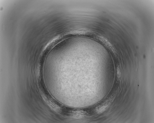 X0000087550396200705041333