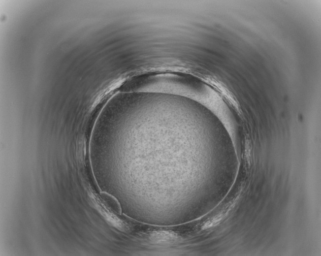 X0000087550397200705041333