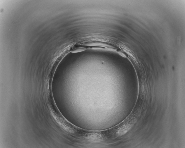 X0000087550398200705041333