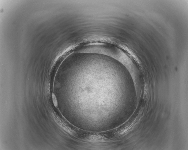 X0000087550399200705041333