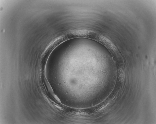 X0000087550400200705041333