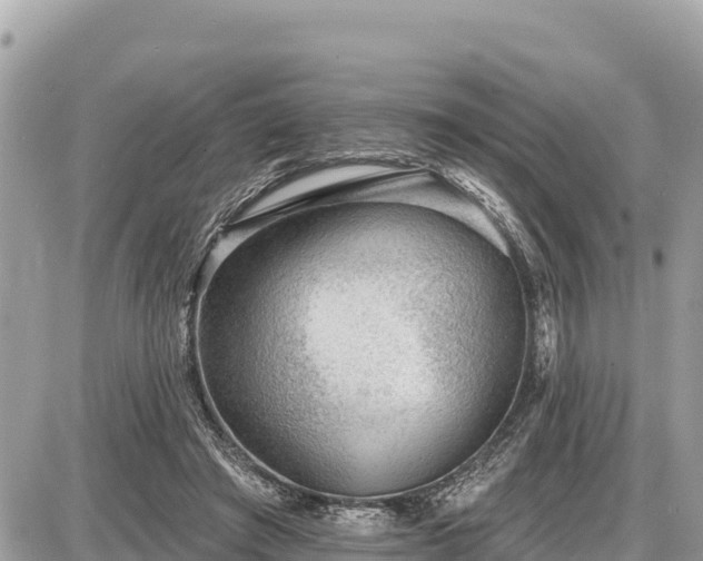 X0000087550401200705041333