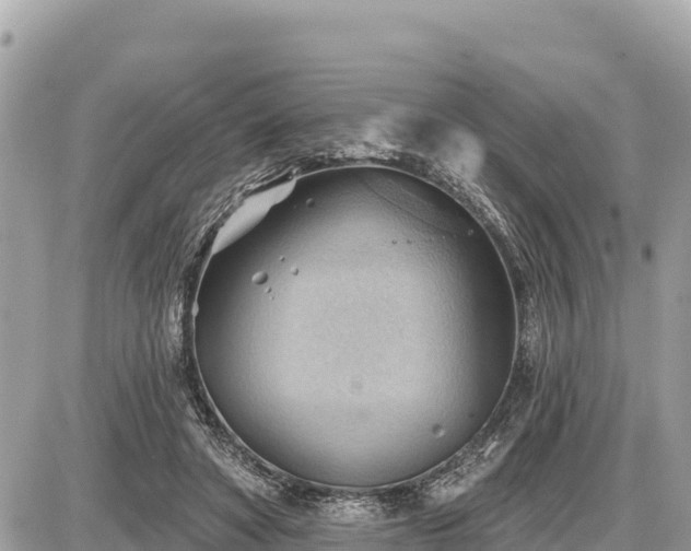 X0000087550402200705041333