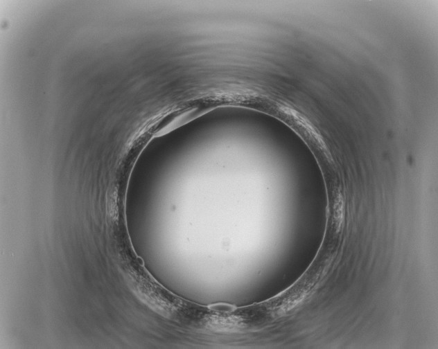 X0000087550403200705041333