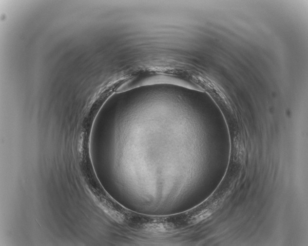 X0000087550404200705041333