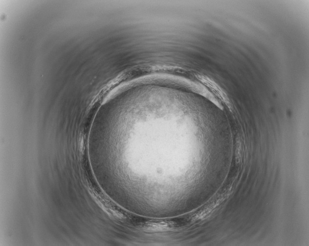 X0000087550405200705041333