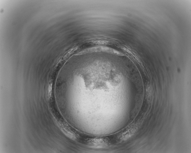 X0000087550406200705041333