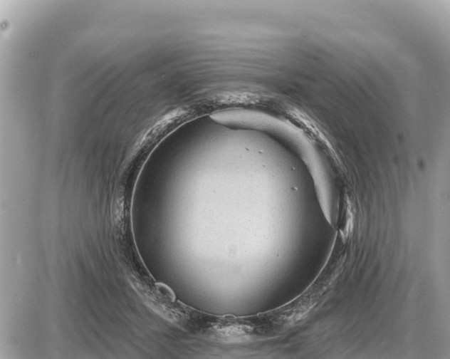 X0000087550407200705041333